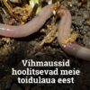 ökoloogiline väetis