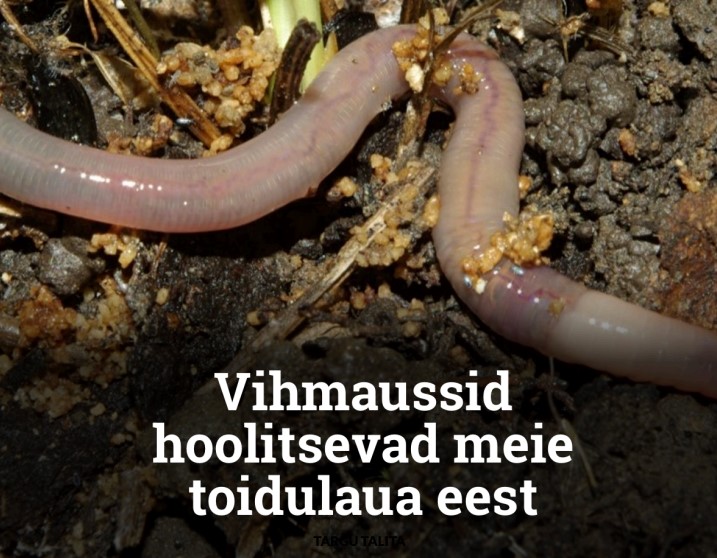 ökoloogiline väetis